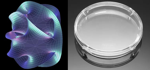 A visualization of an 11D brane next to a Petri dish photo