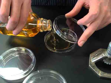 A photo of a person pouring agar on Petri dish